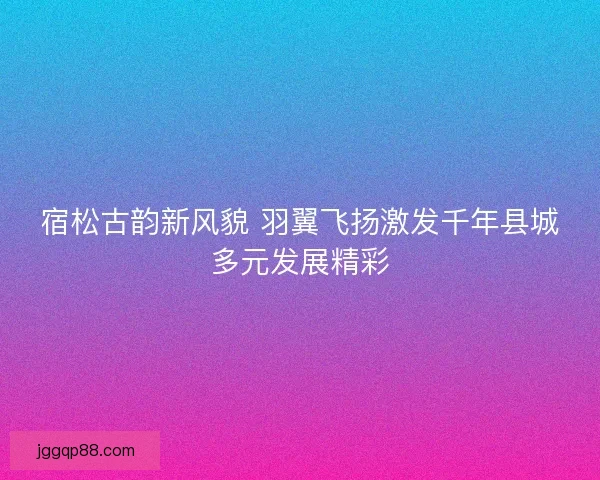 宿松古韵新风貌 羽翼飞扬激发千年县城多元发展精彩